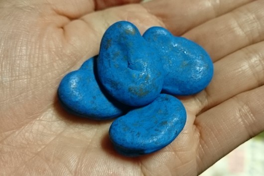 これが実際のソラ豆の種。 チウラムとキャプタン剤が塗ってあるので真っ青。