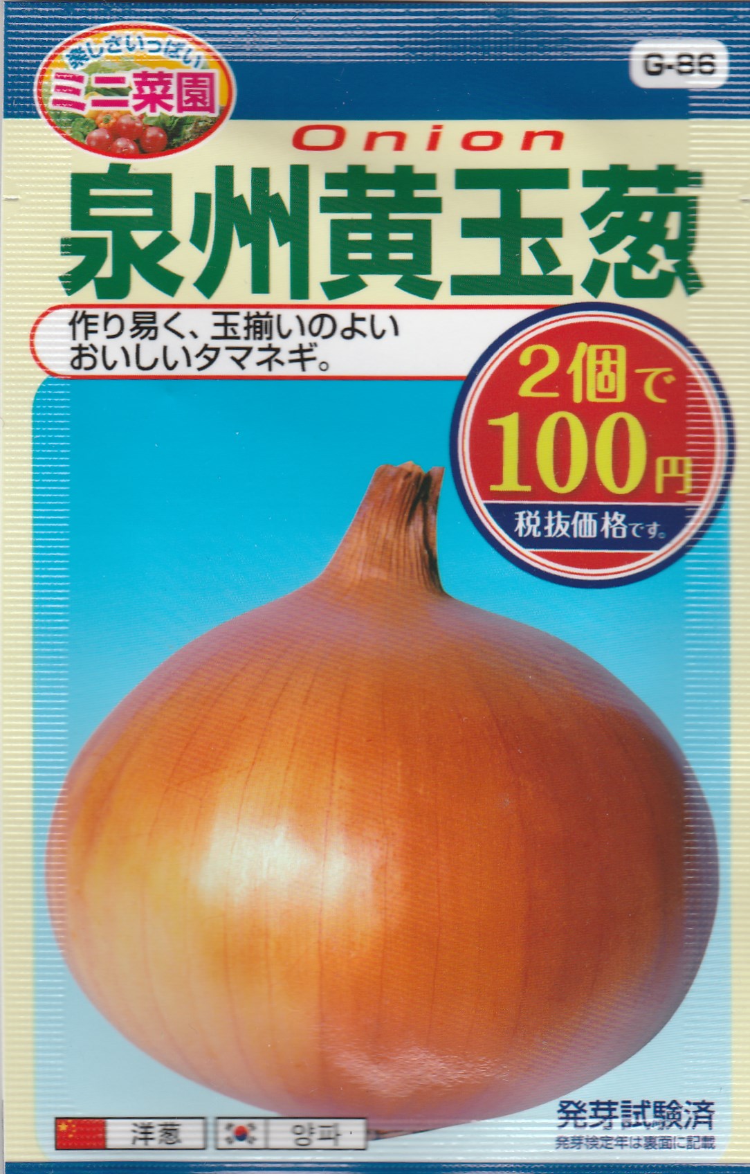 100均の種で 玉ねぎ の育て方 栽培方法 種まきから収穫 保存まで ブタ子の 節約上手な栄養満点野菜の作り方