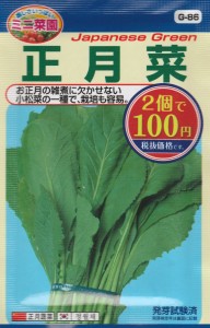 100均の種『正月菜』 品種名：　晩性小松菜 コスト： ￥54