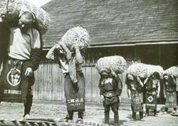 米俵を軽々担ぐ人々。 秋田県仙南村。昭和30年頃。
