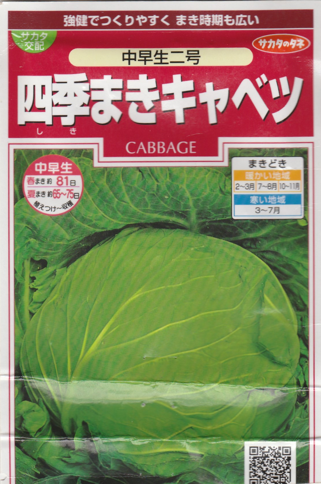 寒冷紗しっかり サカタの種で 四季まきキャベツ 中早生二号 の育て方 栽培方法 ブタ子の 節約上手な栄養満点野菜の作り方