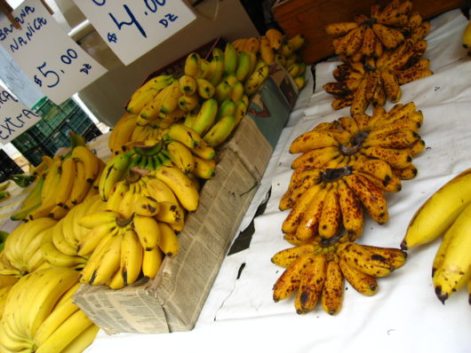 バナナ 種類
